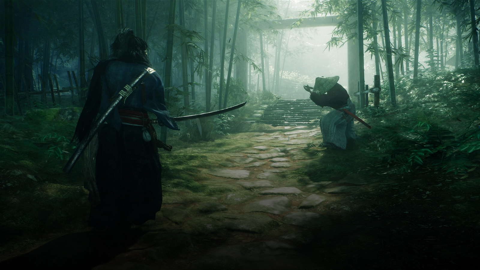 How to Play Co-op in Rise of the Ronin